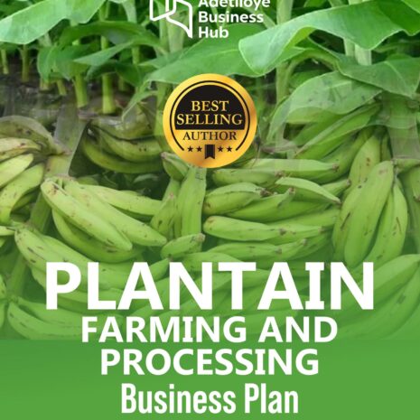 061-scaled 061-scaled