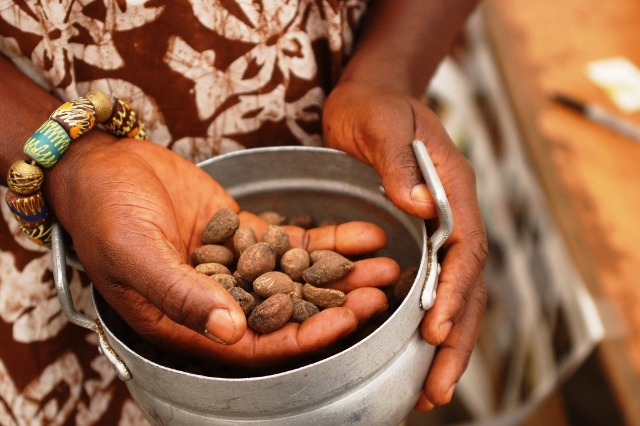 SHEA-BUTTER-PRODUCTION-PROCESSING-BUSINESS-PLAN-IN-NIGERIA-5 SHEA-BUTTER-PRODUCTION-PROCESSING-BUSINESS-PLAN-IN-NIGERIA-5