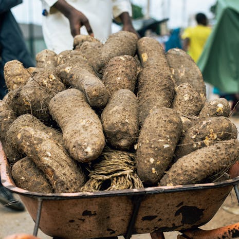 Photo by Kings Studio Heap of fresh yams in a wheelbarrow at a bustling outdoor market.