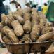 Heap of fresh yams in a wheelbarrow at a bustling outdoor market.